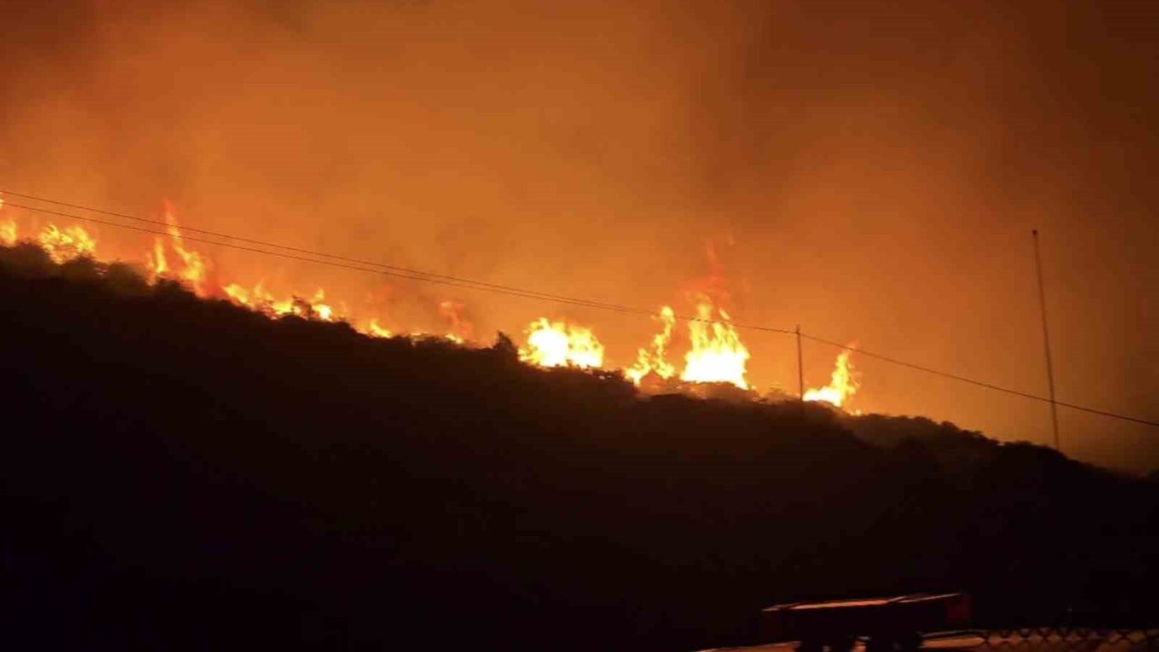 İzmir’de makilik alanda yangın