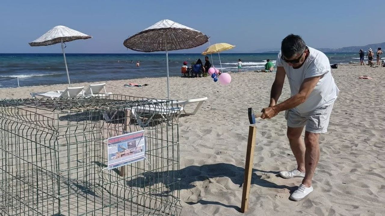 Kuşadası’nda caretta carettalardan umutlandıran yuva