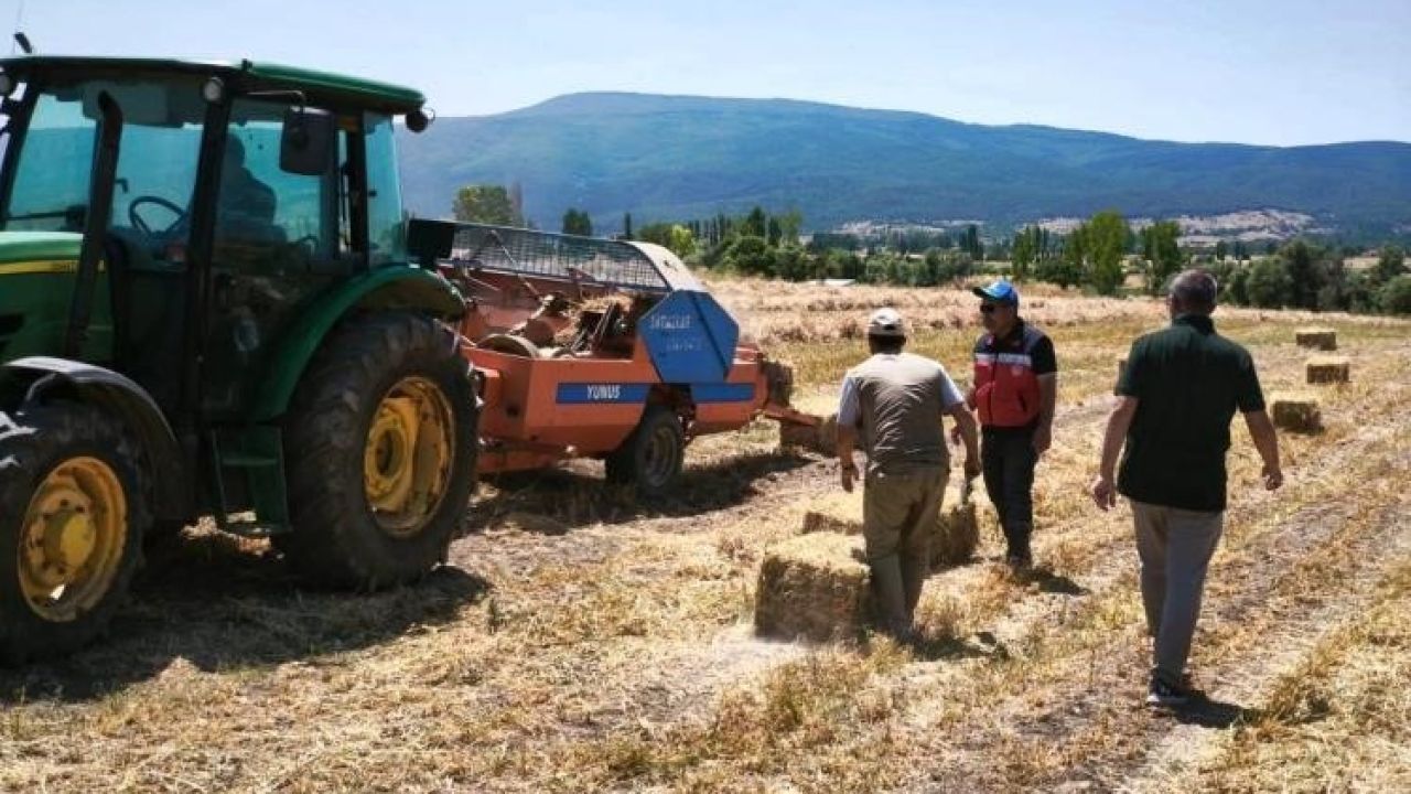 Kütahya Köprüören köyünde yem bezelyesi demonstrasyonunda hasat tamamlandı