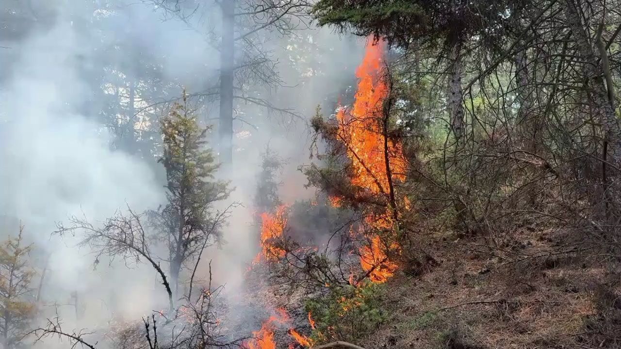 Kütahya’da orman yangını, ekipler alevlere müdahale ediyor