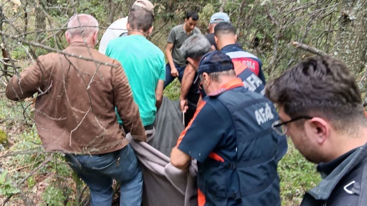 Kütahya’da ’sarı kantaron’ toplamak isterken kayalıklardan düşen sağlık teknisyeni hayatını kaybetti