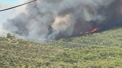 Milas’ta orman yangını