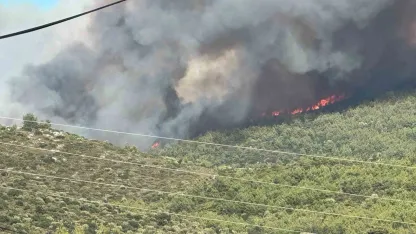 Milas’ta orman yangını