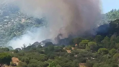 Muğla’da orman yangını