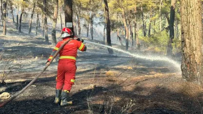Ortaca’da orman yangını