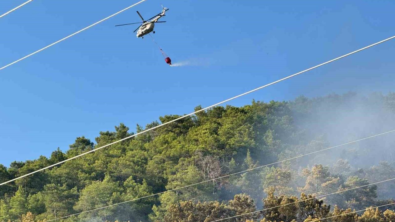 Ortaca’daki orman yangını kontrol altına alındı