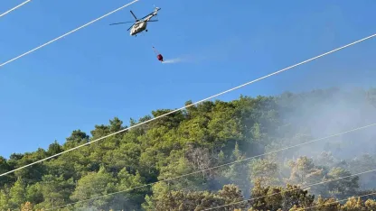 Ortaca’daki orman yangını kontrol altına alındı