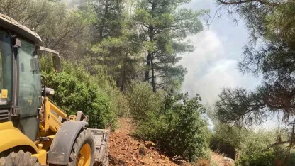 Rüzgarın büyüttüğü yangın 1 saatte söndürüldü