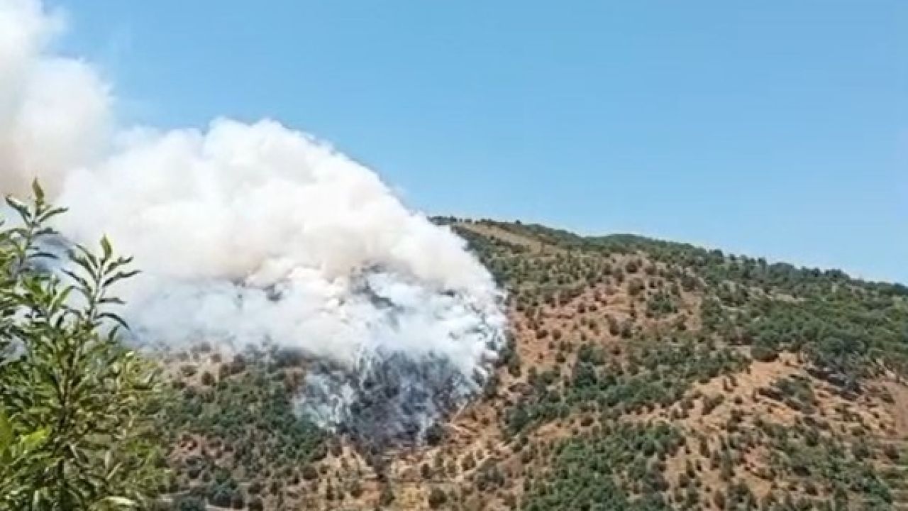 Sultanhisar’da makilik ve orman yangını