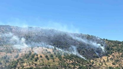 Sultanhisar’daki yangına havadan ve karadan müdahale sürüyor