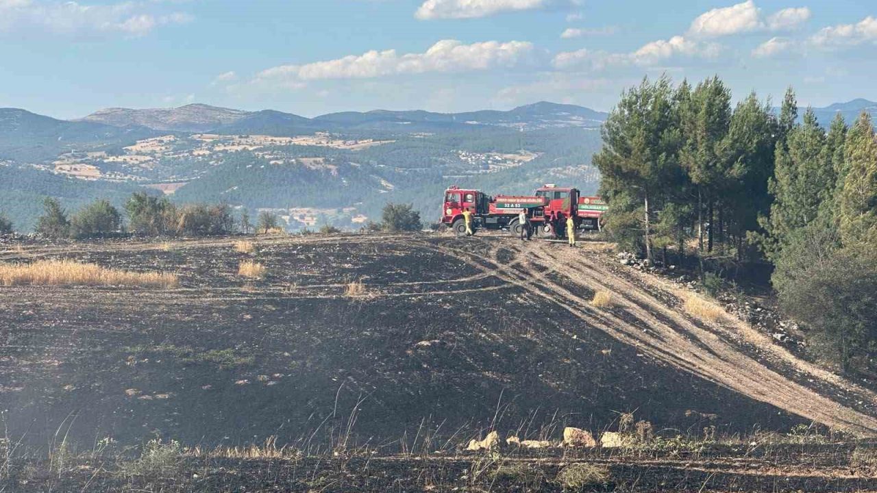 Uşak’ta ormanlık alana sıçrayan yangın söndürüldü